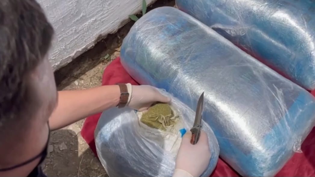 Абай облысында 100 келіден астам марихуана мен 7 келіден астам гашиш тәркіленді