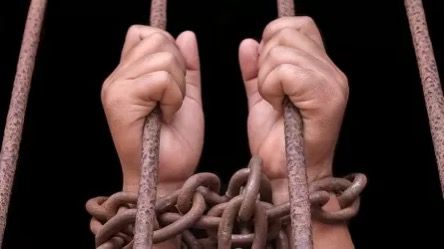 Ақша табу үшін Таиландқа кеткен төрт қазақстандық Мьянмада құлдыққа түскен