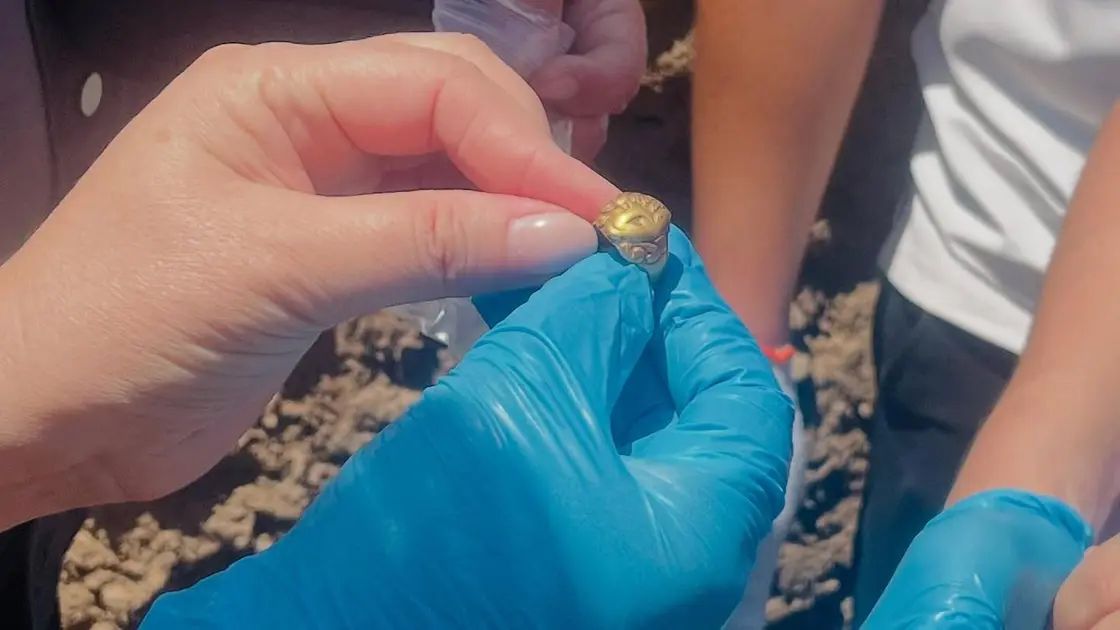 Археологтар Шонжы маңынан сақ дәуіріне жататын алтын бұйымдарды тапты