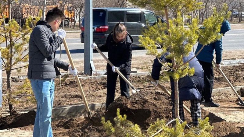 Биыл Астанада бір миллион ағаш пен бұта отырғызылады