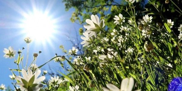 1 шілдеге арналған ауа райы болжамы