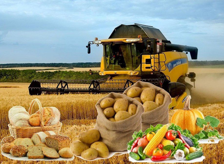 Қазақстанда аграрлық азық-түлік өнімдеріне арналған жаңа маркетплейс іске қосылмақ