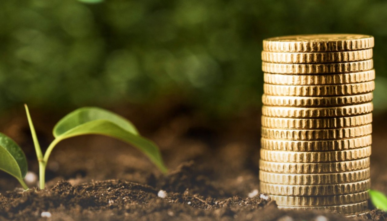 Елімізде мыңнан астам агроөндіруші ерте қаржыландыруға өтінім берген