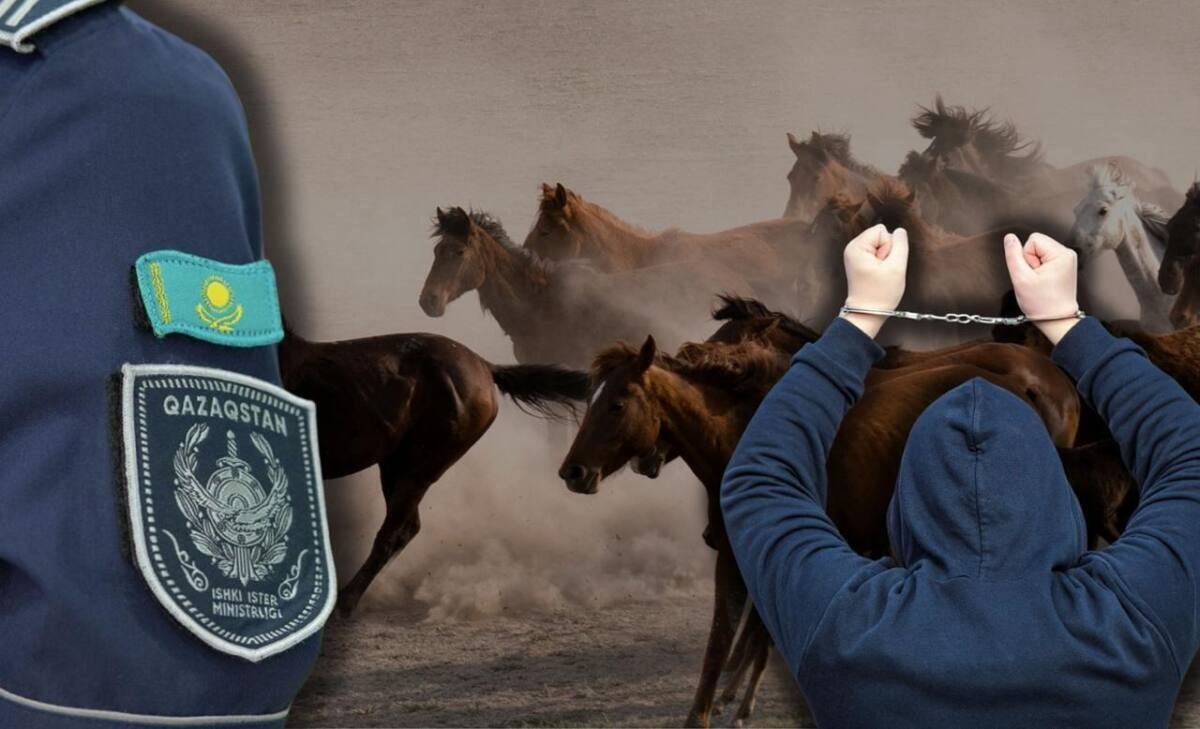 БҚО-да ұрланған мал бірнеше рет сатылған: екі ауыл тұрғыны ұсталды