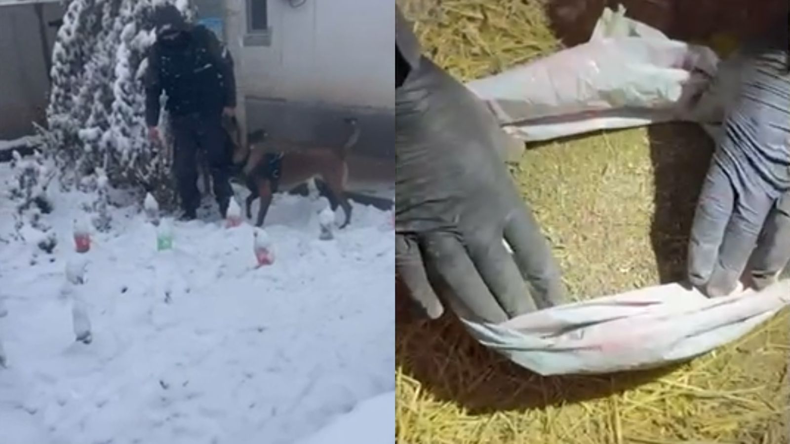 Алматыда полиция ірі көлемдегі есірткі сату арнасының жолын кесті