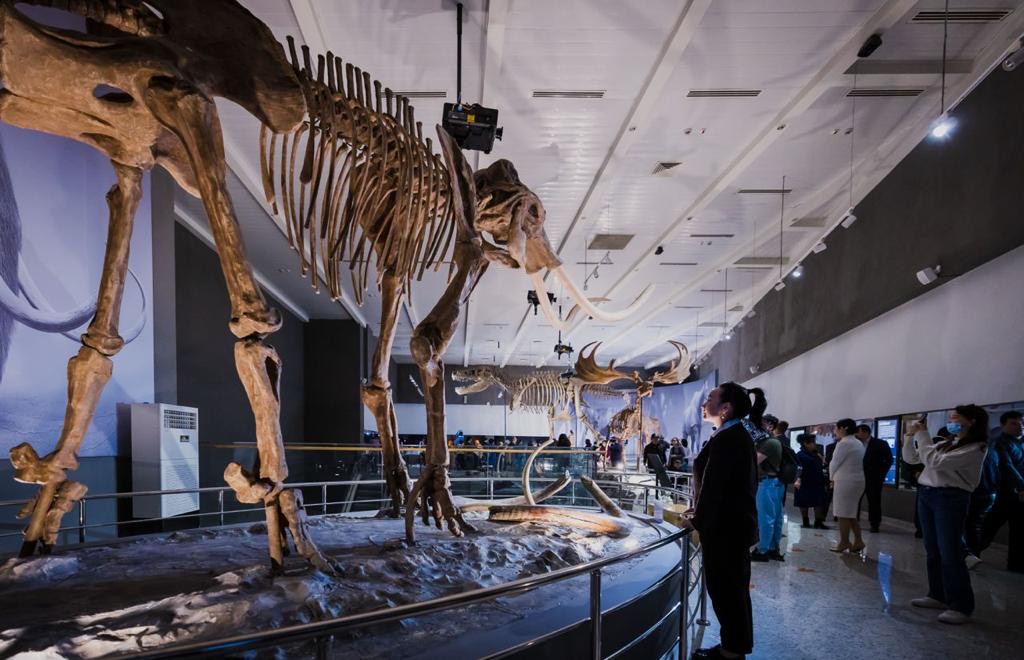 ҚР Ұлттық музейінде палеонтология және қолөнершілер залдары ашылды