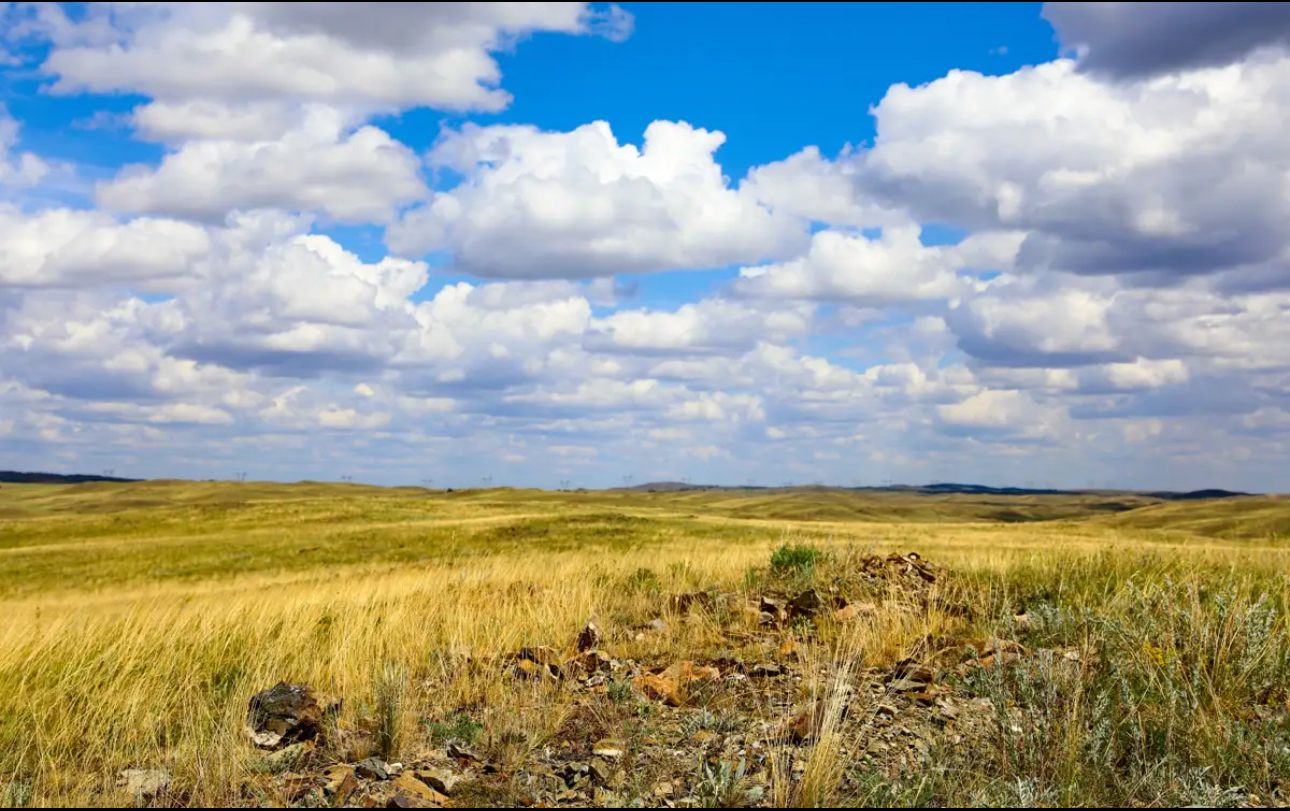 Қазақстанда шекара маңындағы жер учаскелерін заң аясында реттеу жұмыстары жүріп жатыр