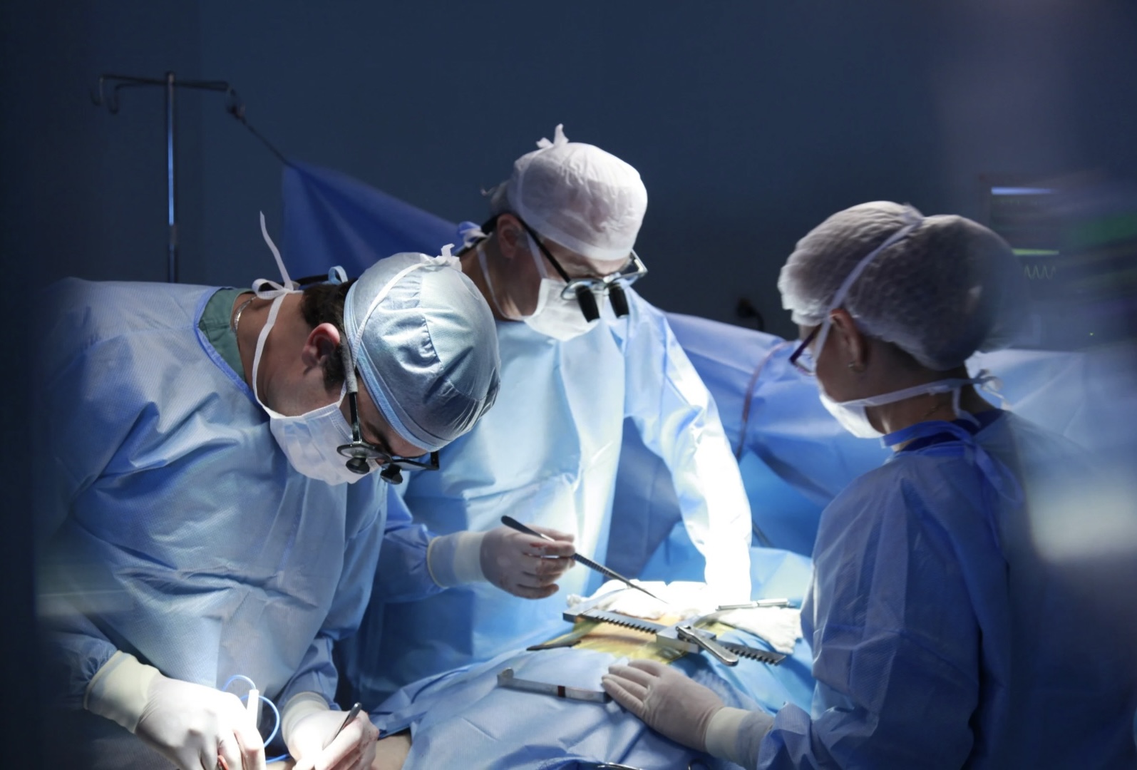 Бір жанның бес ағзасы алты адамның өміріне үміт сыйлады