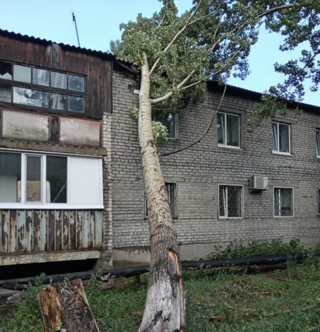 Павлодарда қатты дауылдан 16 адам зардап шекті, бір адам қаза тапты