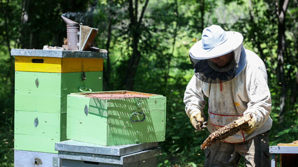 ШҚО кәсіпорындары Еуропа мен Қытайға өнім экспорттауда көш бастап тұр