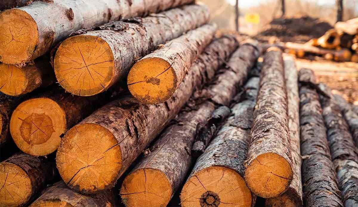 Қыздың порносын былғады Интернеттегі эротикалық порнографиялық фильмдер